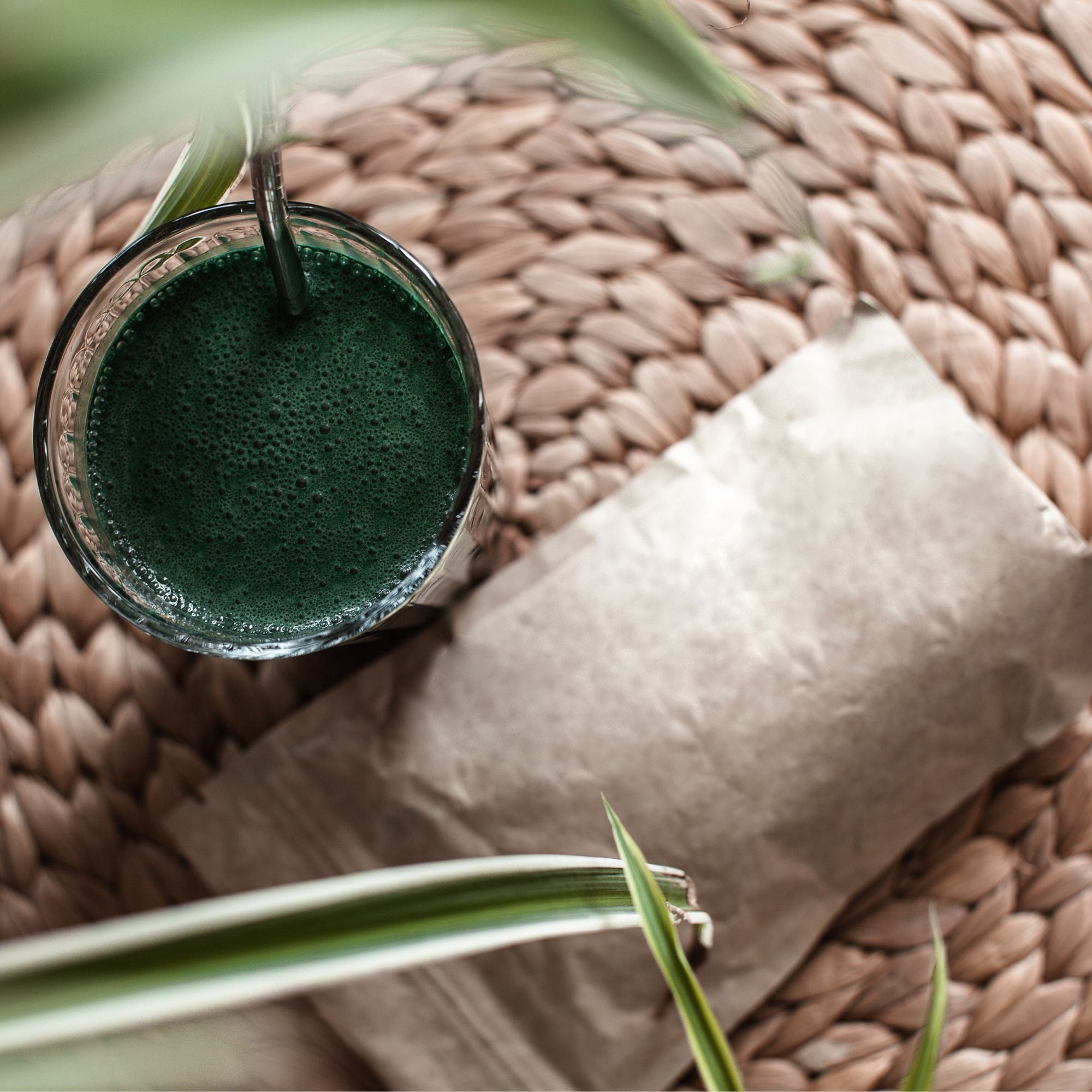 Chlorella Alge BIO Qualität kaufen