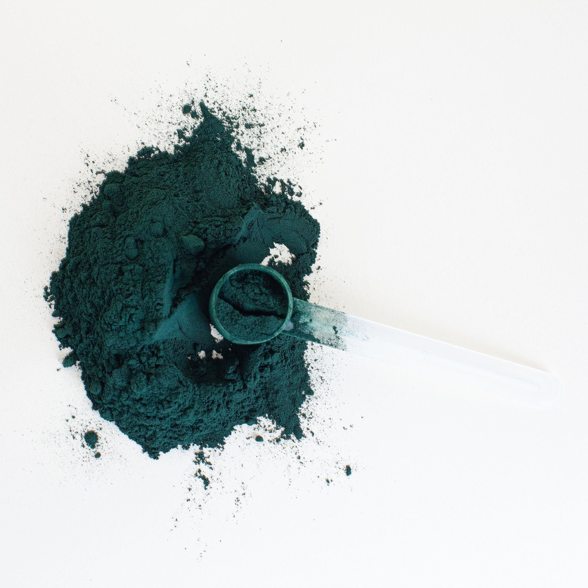 Chlorella Alge BIO Qualität kaufen